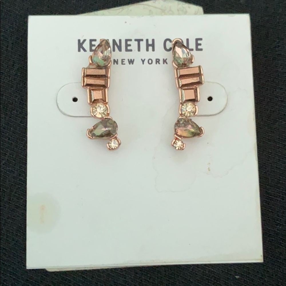 Ear climber ear rings